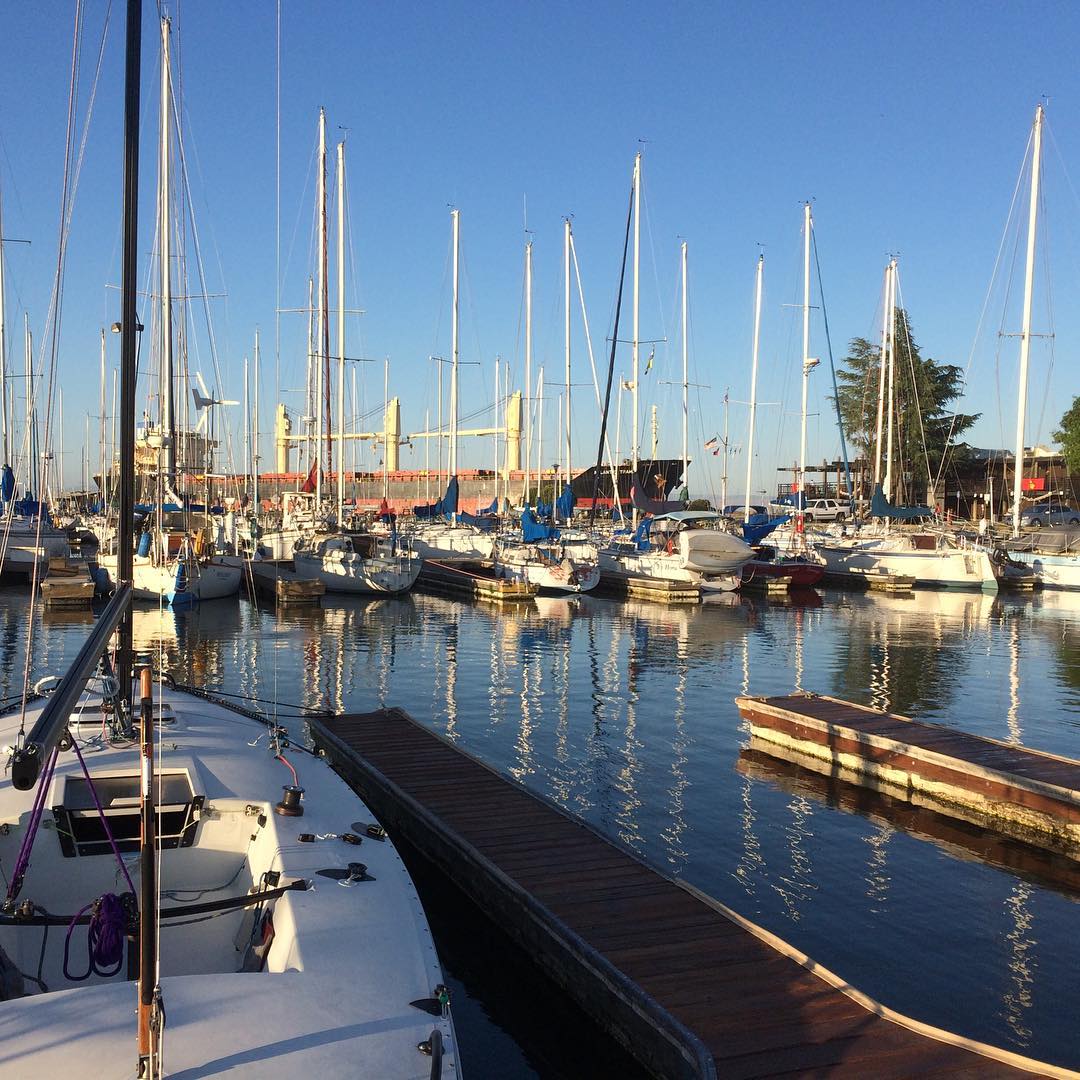 6:45 am at Stockton Sailing Club, waiting for breakfast to open, watching a cargo ship rumble by. We spent 20 minutes yesterday trying to actually get started after getting swept past the line, ended up finishing 72nd out of 179 boats registered. Will be back in the office Wednesday :)