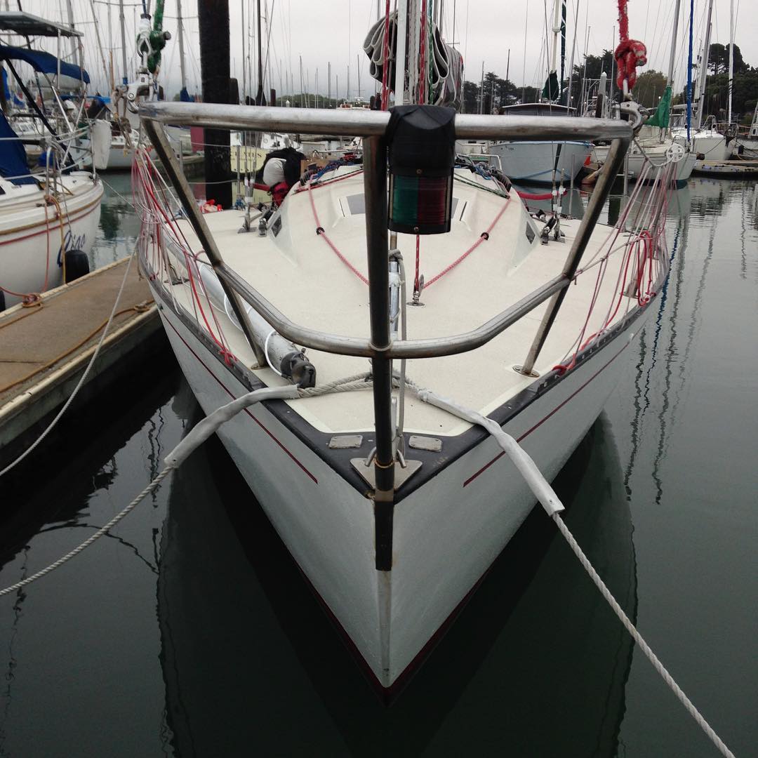 Ahi day 1 of OYRA Drakes Bay