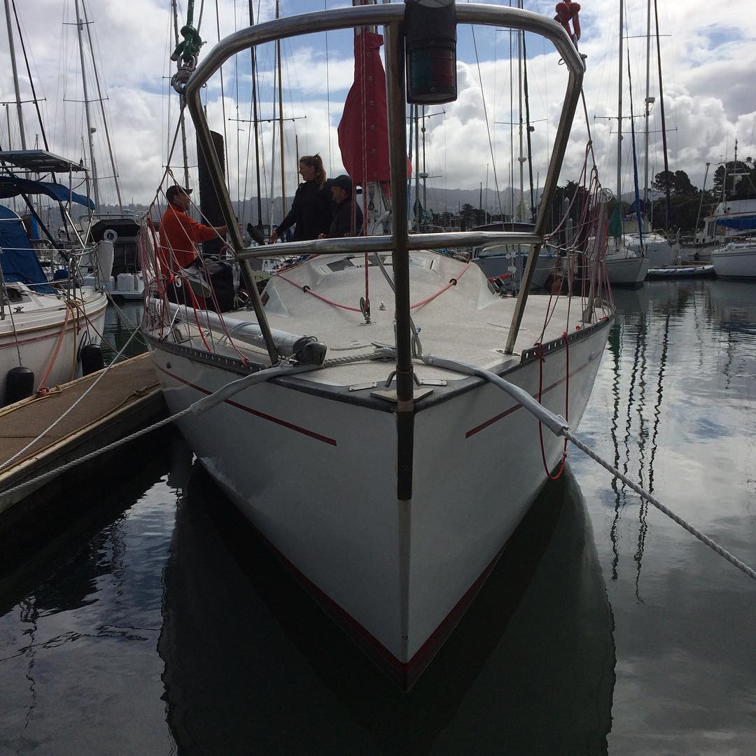 Ahi for Duxbury Lightship