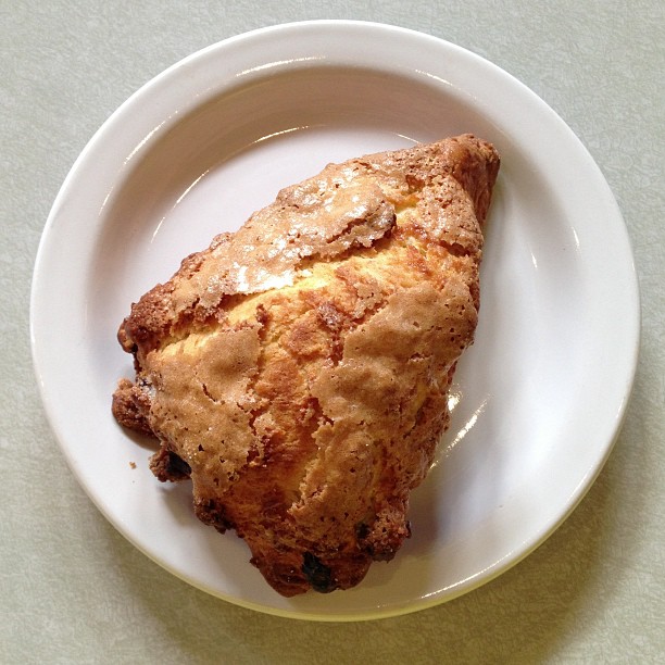 And a lemon raisin scone for good measure.