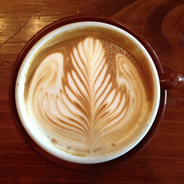 Angel wings latte - Local 123