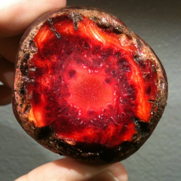 Beautiful beet