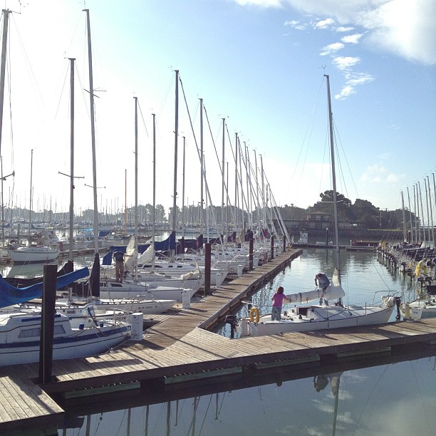 Beautiful day for a sail on a J105. Fleet week and AC 45 racing!