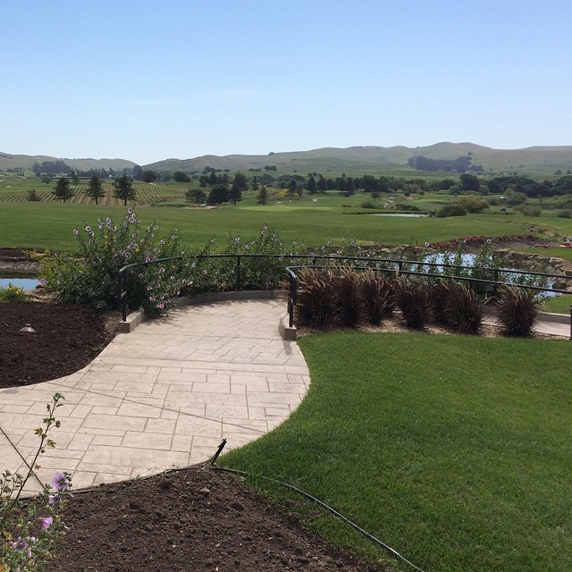 Beautiful day in Napa for my first golf tournament with uncle Jim :-)