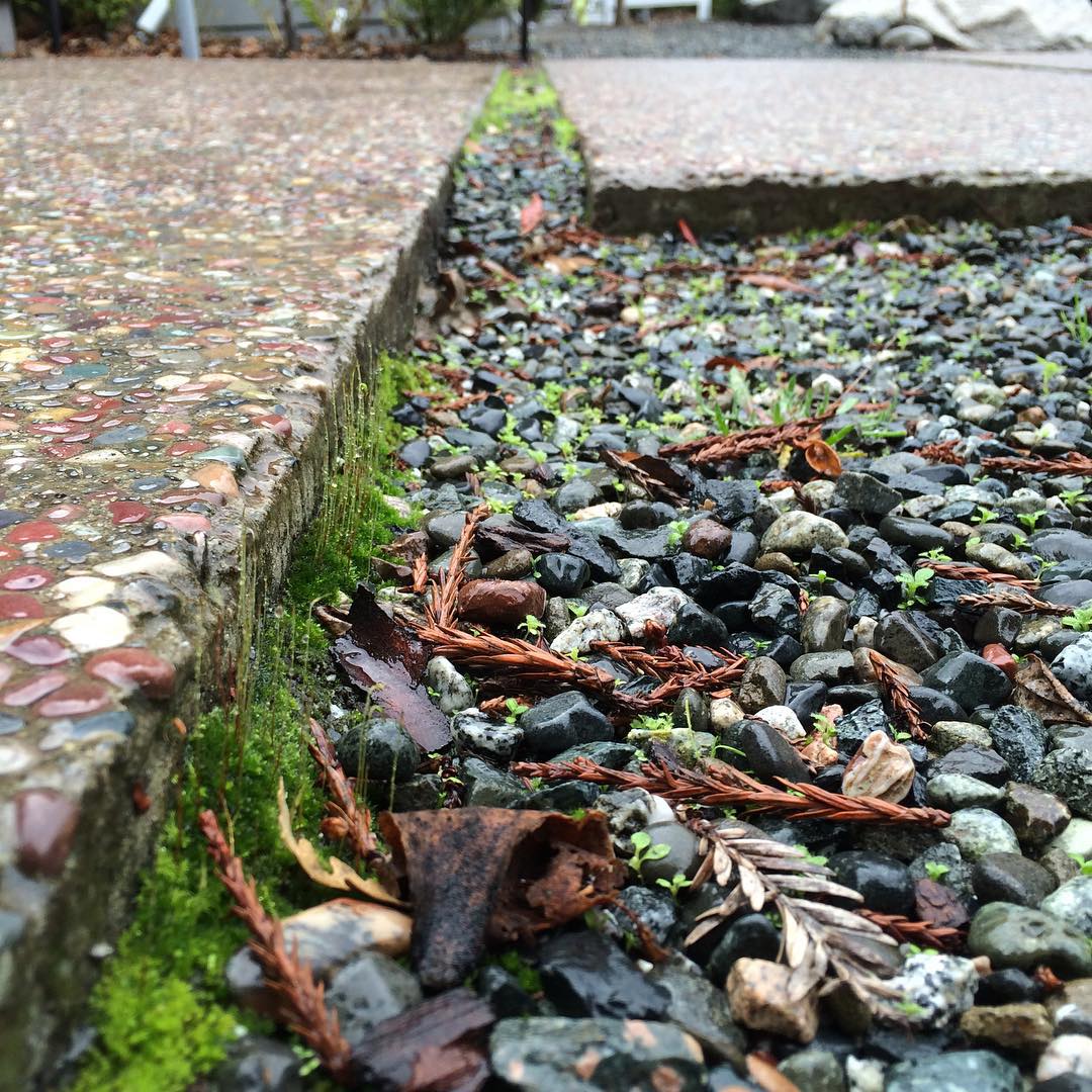 Beautiful drizzly day!