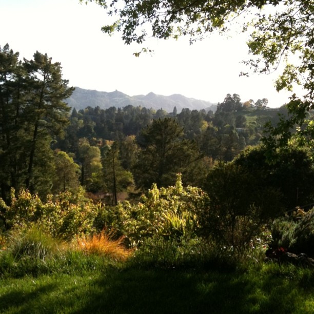 Beautiful Orinda hills