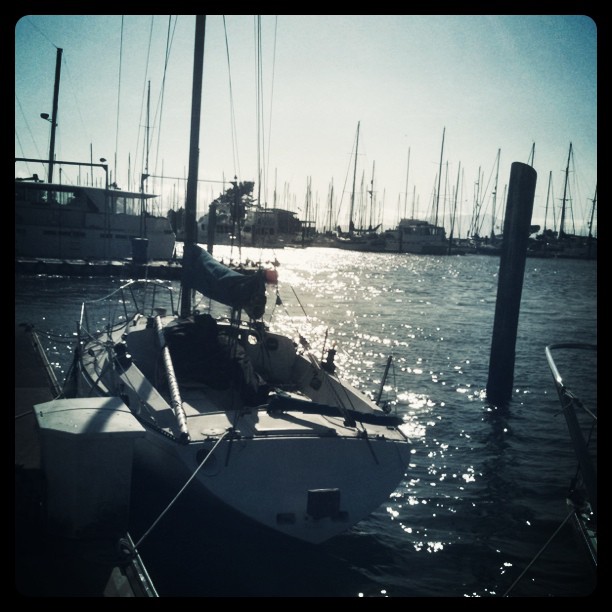 Blowing 15-20, prepping for a fun race