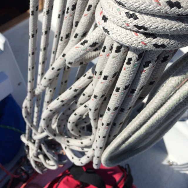 BYC Midwinters day 2 got first  yesterday