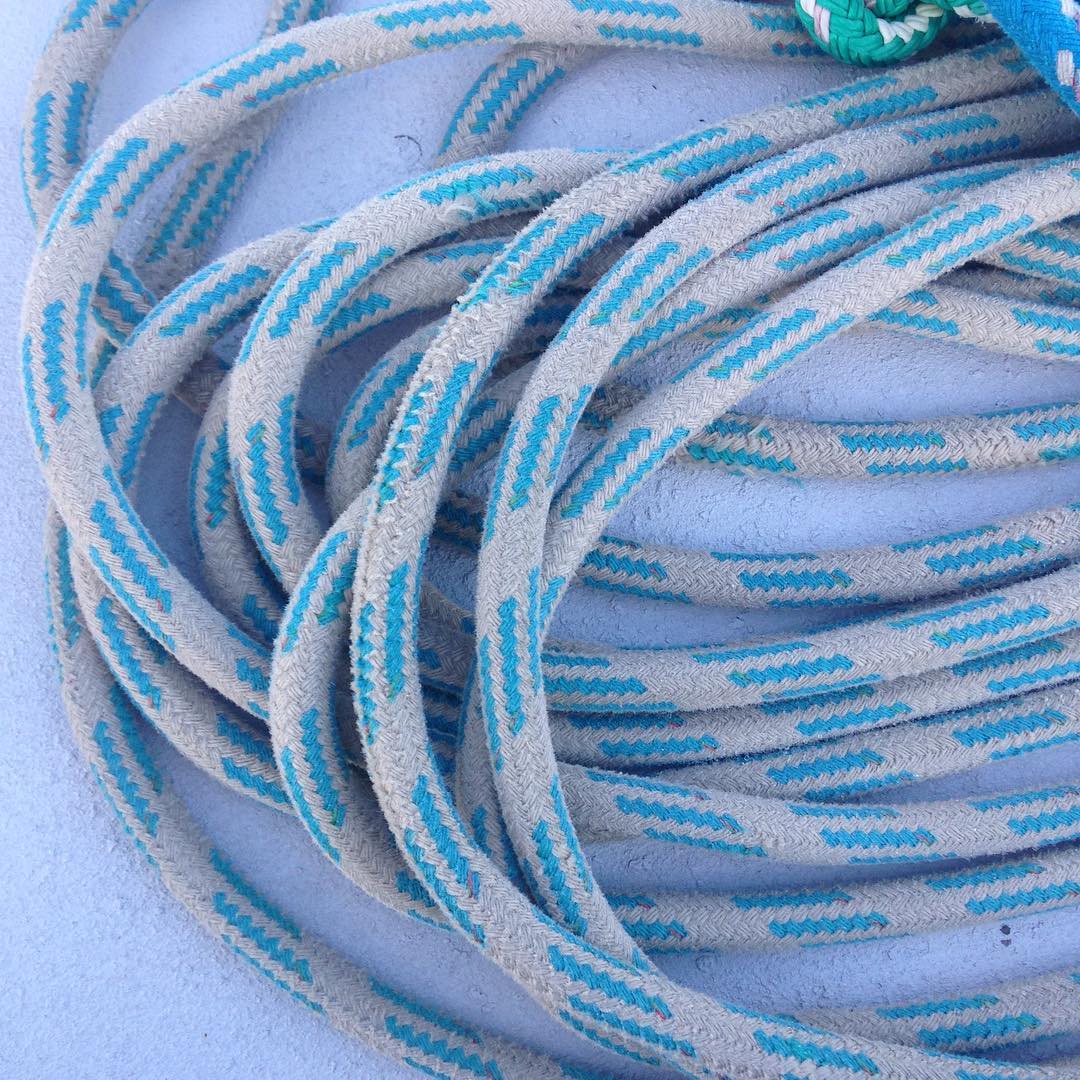 BYC Midwinters on Stewball