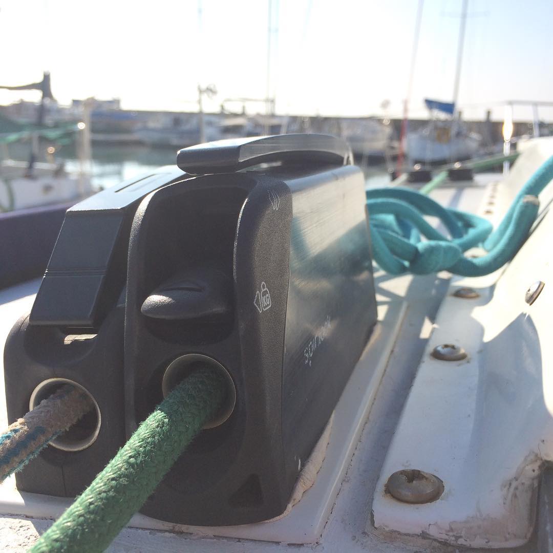 BYC Midwinters on Stewball