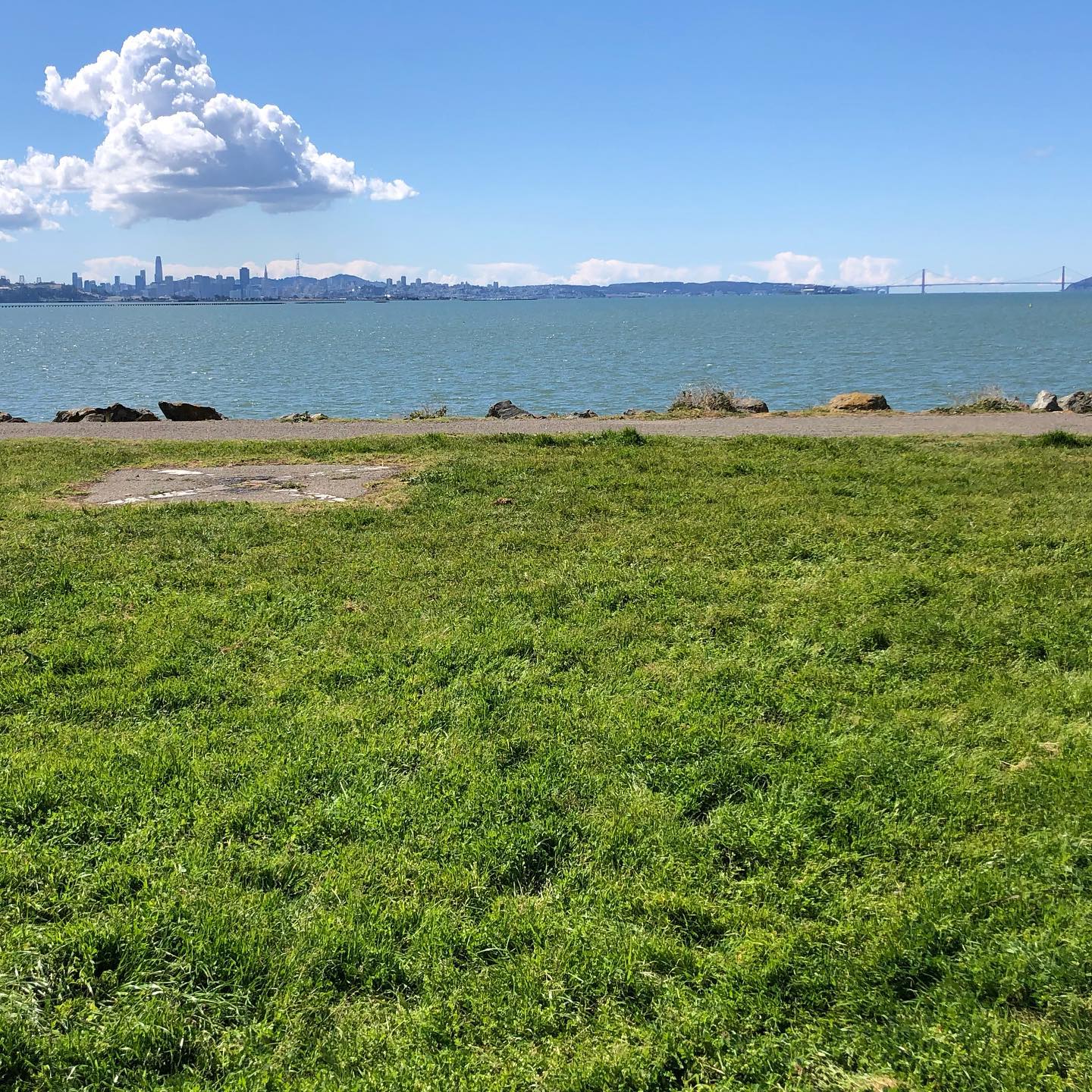 Current office. Gorgeous day outside today. Everyone keeping a respectable and appropriate distance from one another. ️