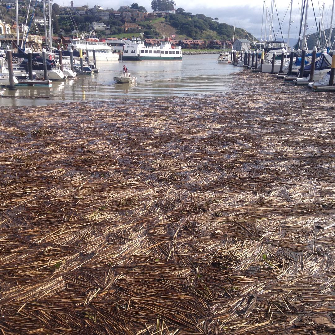 CYC Midwinters day 3 on Stewball - check out the Delta!