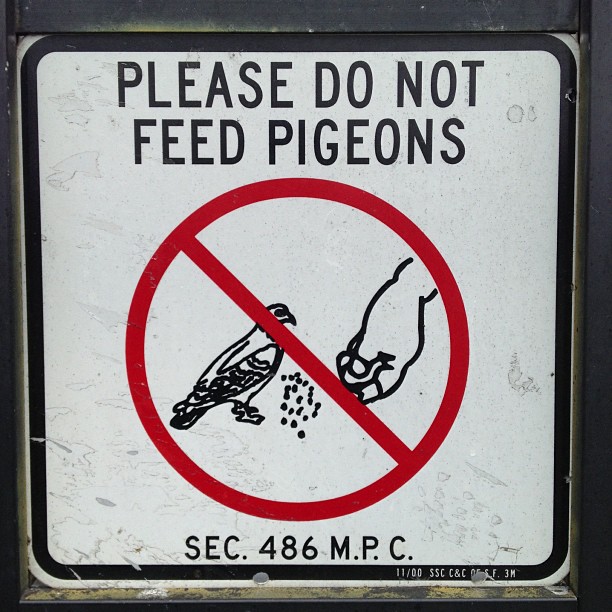 Don't feed the pigeons