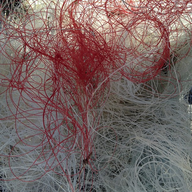 Excess fishing line