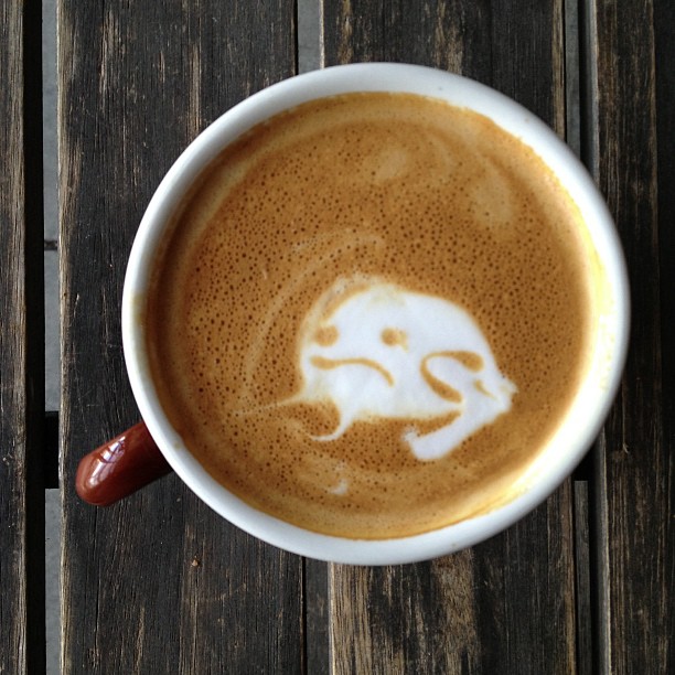 Frog latte! :)