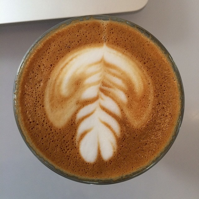 Gonna call this one a jellyfish