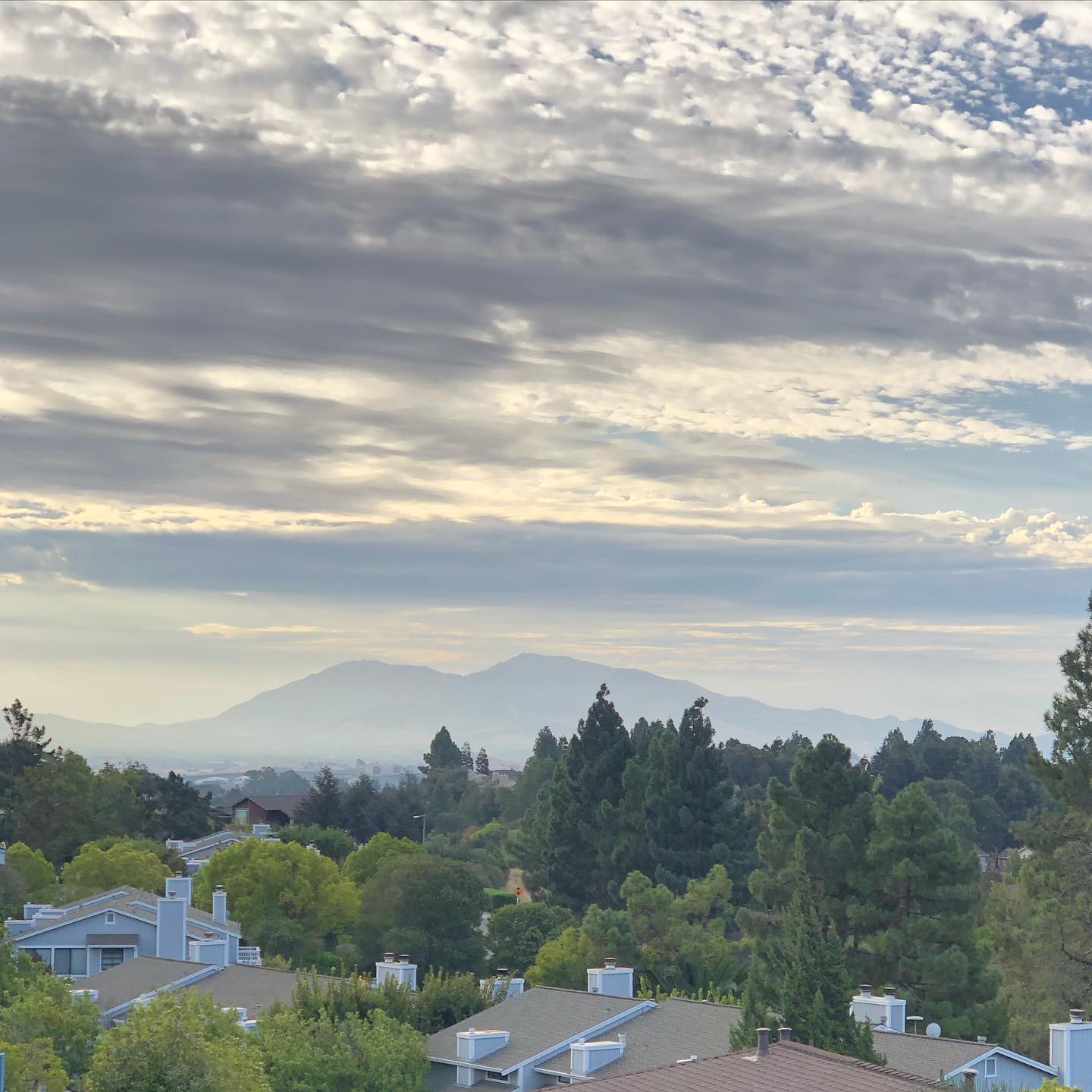 Good morning Mt. Diablo, it’s been a while :)
