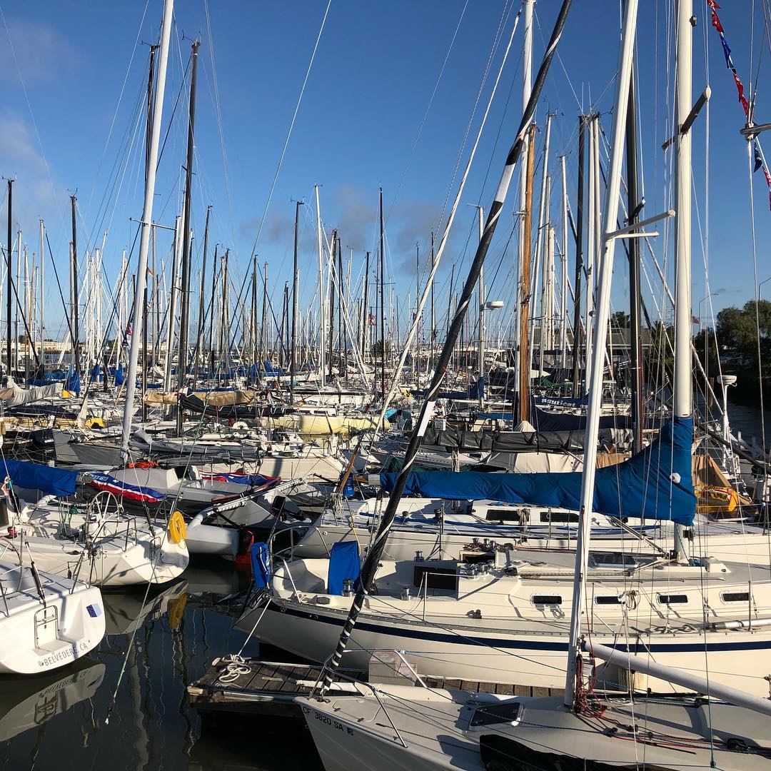 Gooooooood morning! Day 2 Great Vallejo race on Stewball. Hopefully we’ll get off the mud by our start time :)