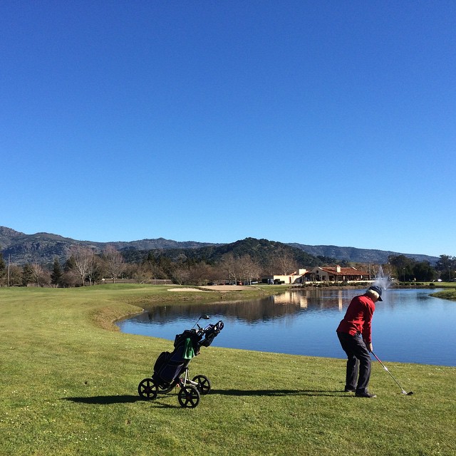 Gorgeous day in Yountville