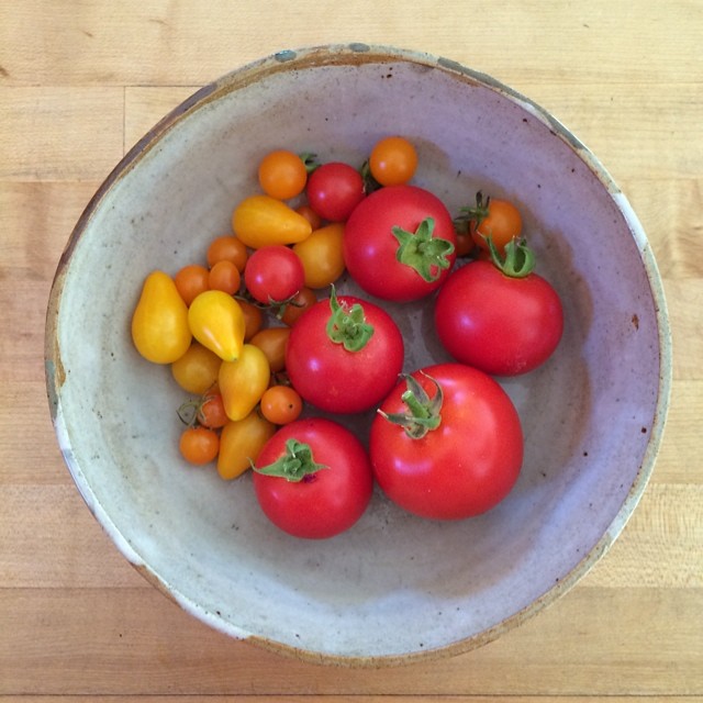 House sitting tomatoes fresh from the garden