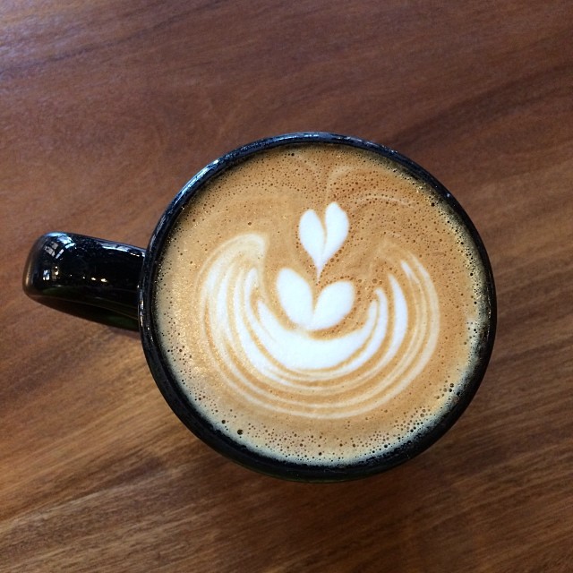 It's February, time to ride bikes to work again. Saw plum blossoms, guess it's springtime in Oakland now :)