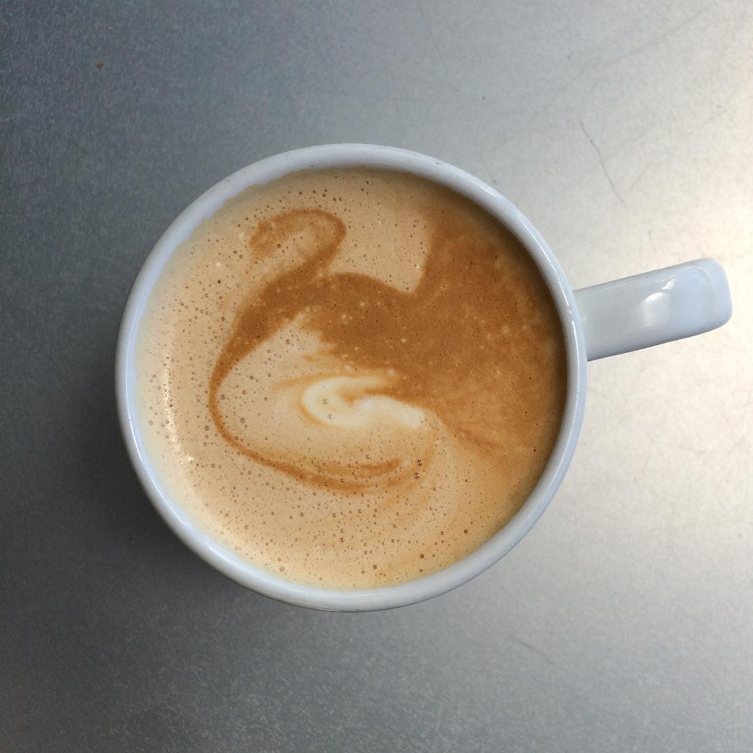 Kind of a cosmic swan