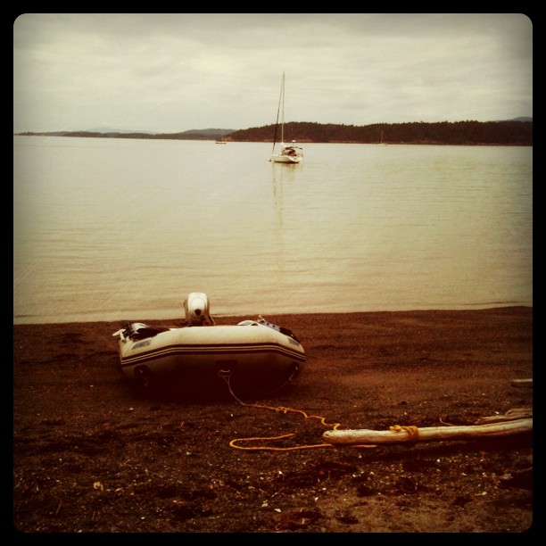 Kind of a quiet gray day so far