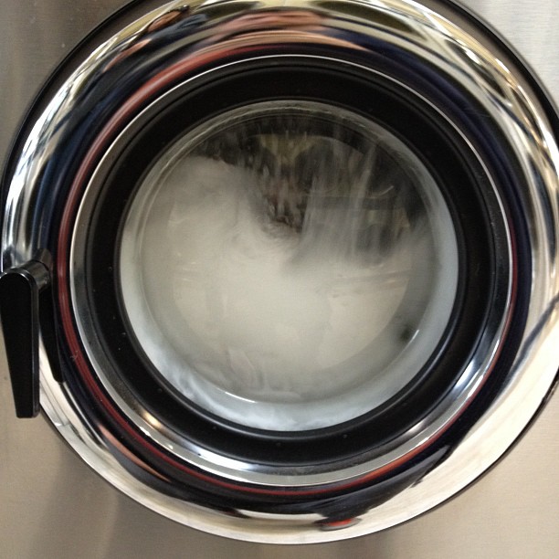 Laundry day