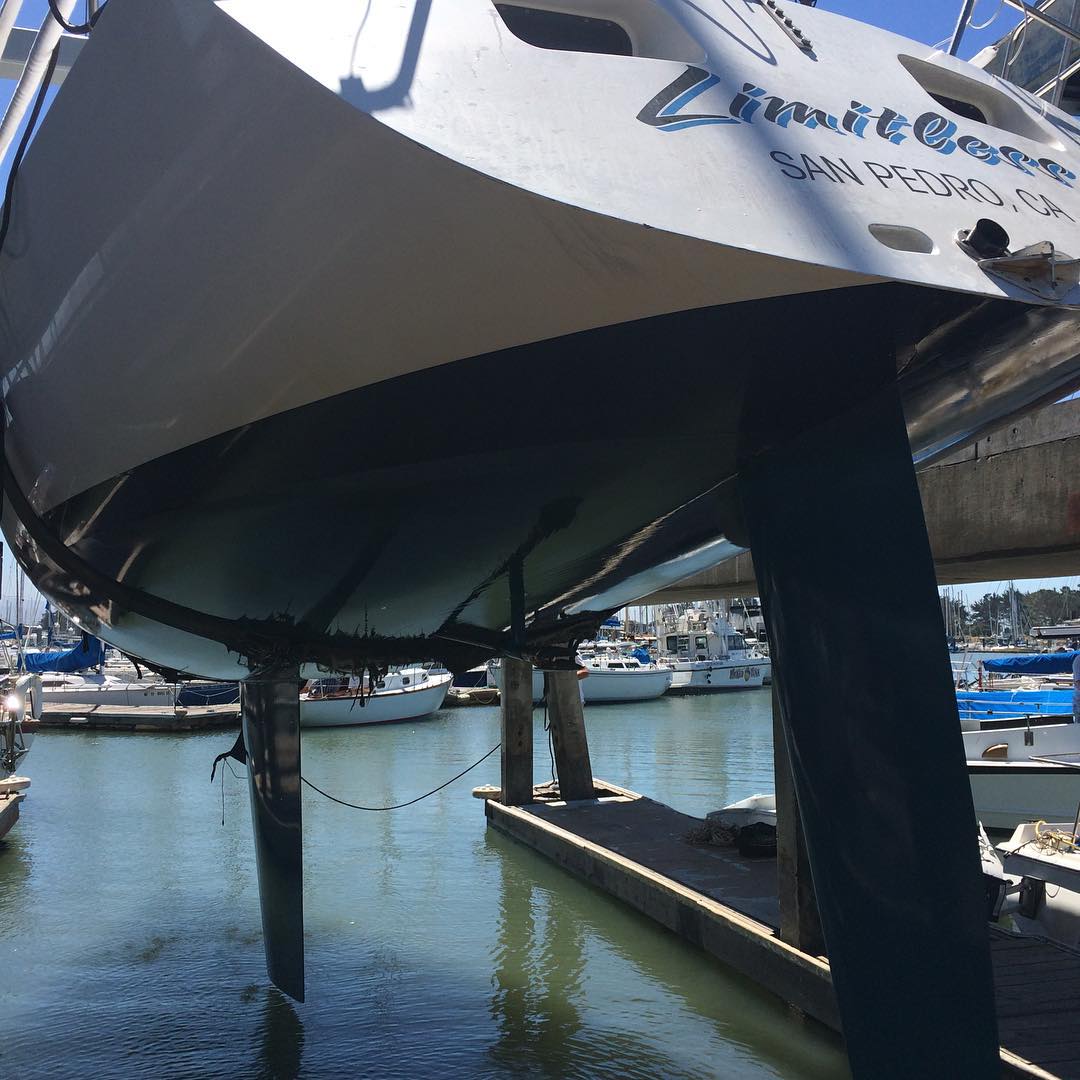 Limitless getting weighed and measured after we took everything off her. Cool to see her floating in the air. :)