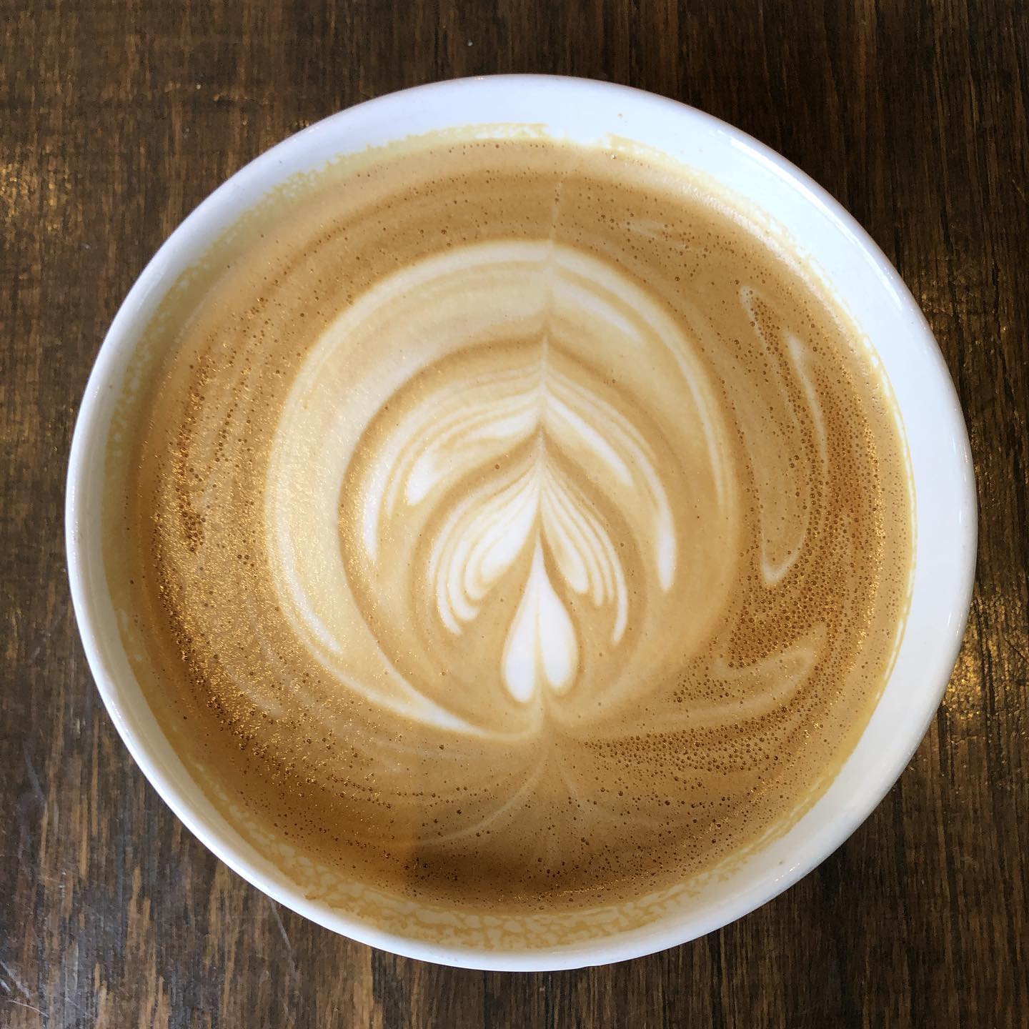 Literally a bowl of latte 🤪