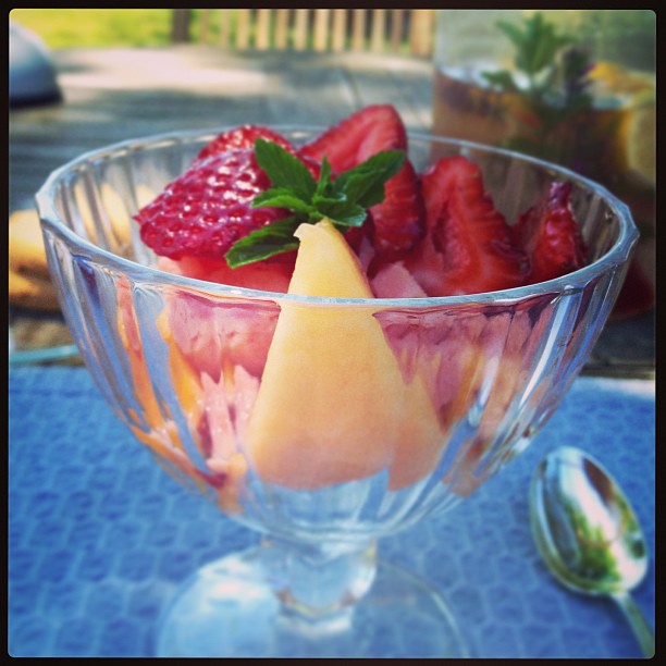 Lovely homemade white nectarine sorbet