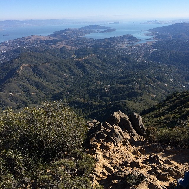 Made it to the top!