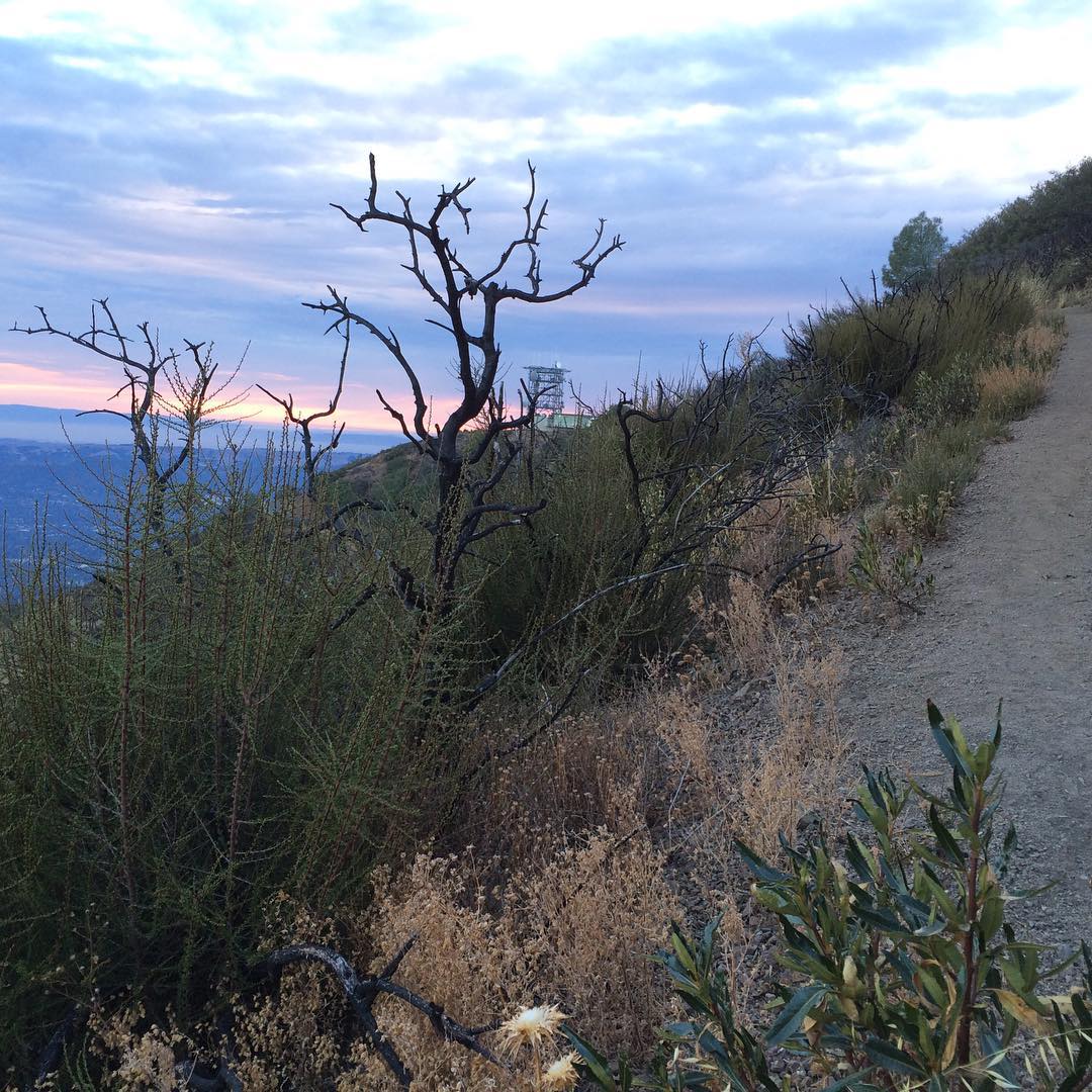 / Mt Diablo research project - hiking with Emily