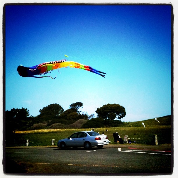 Neat kite