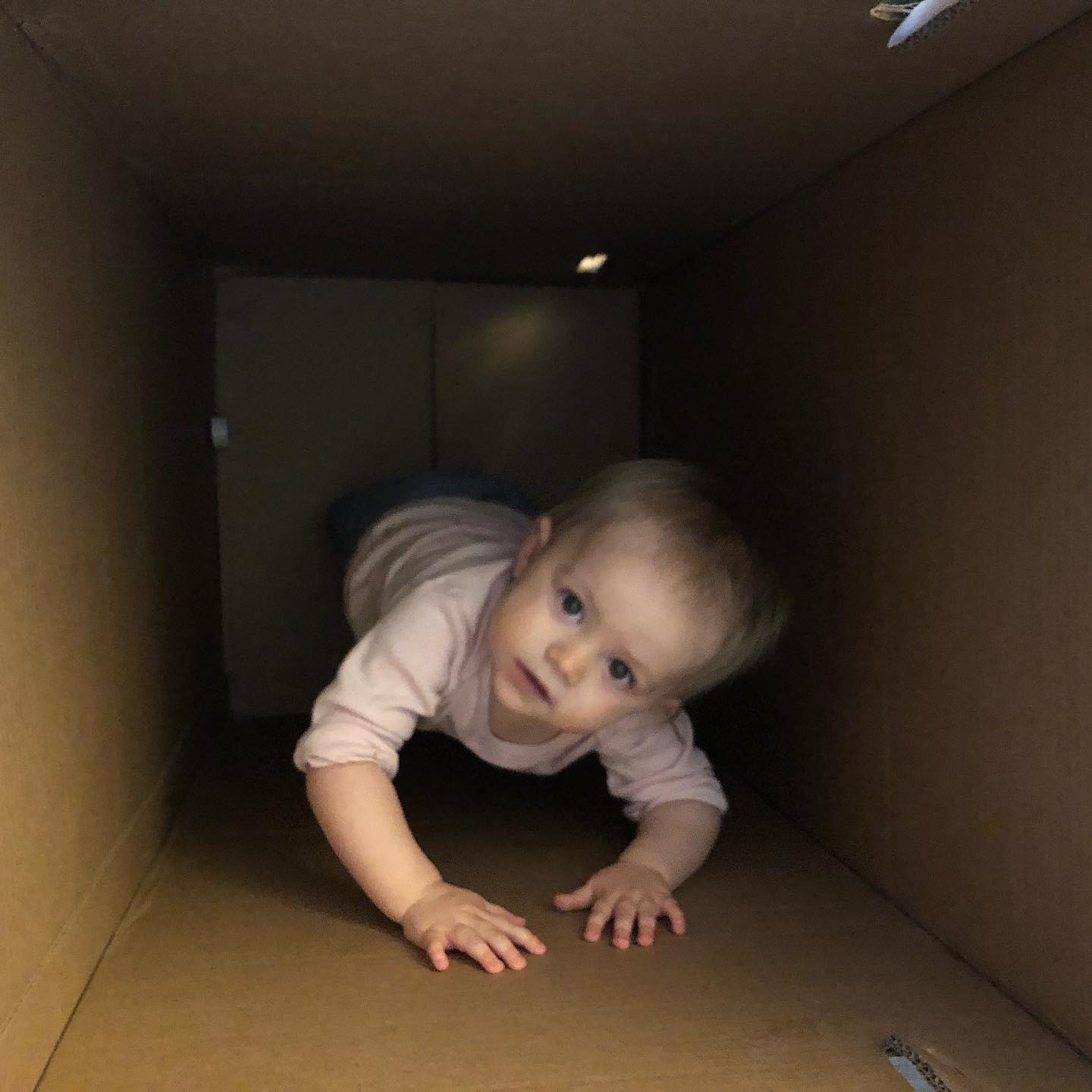 Our little one doing her part to “shelter in place”. 🤪
