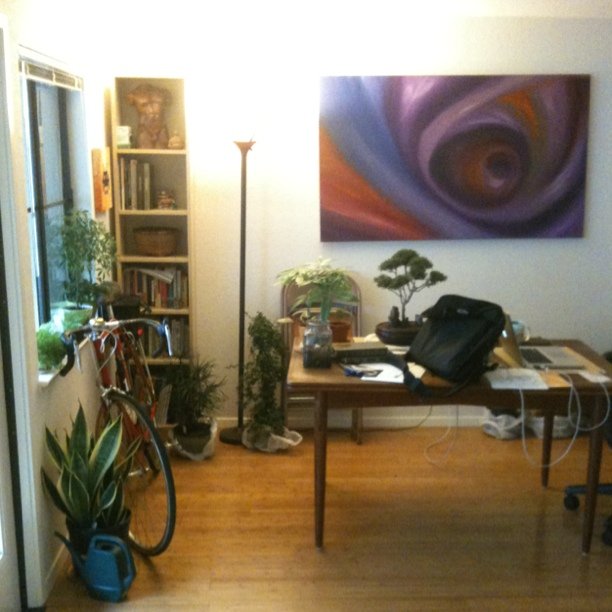 Plants indoors for upcoming freeze