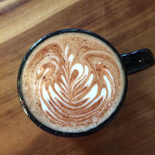 Rare mocha sighting