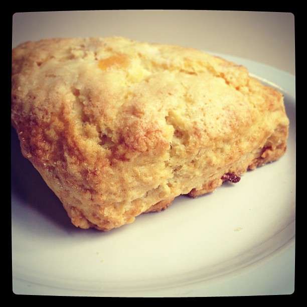 Rather lovely apricot lemon scone