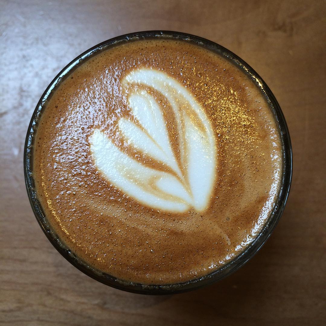 Really delicious cortado here. Working with David on Lightinprison.org