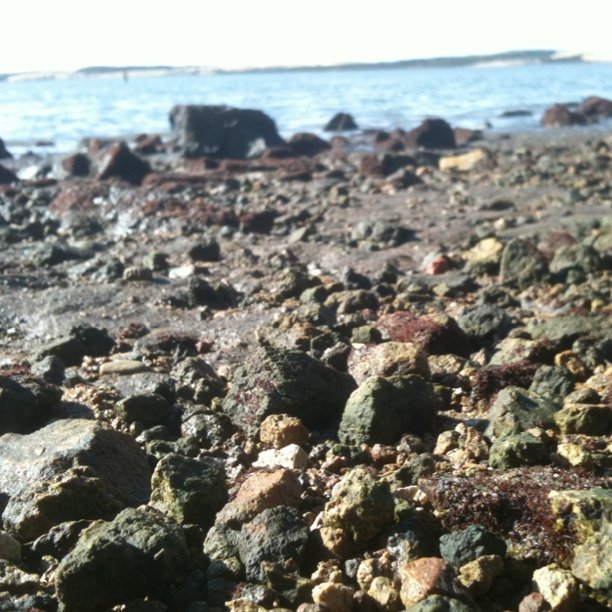 Rocks
