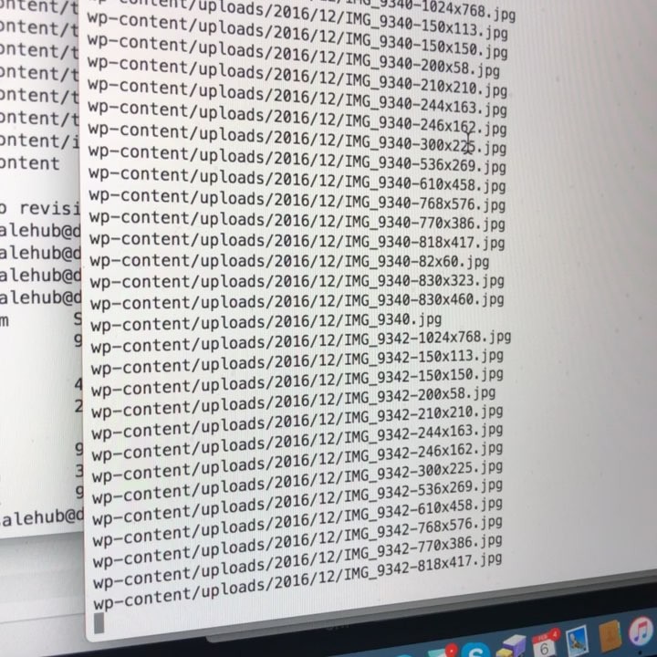 Rsyncing 19GB of files for a fairly large WordPress hosting migration