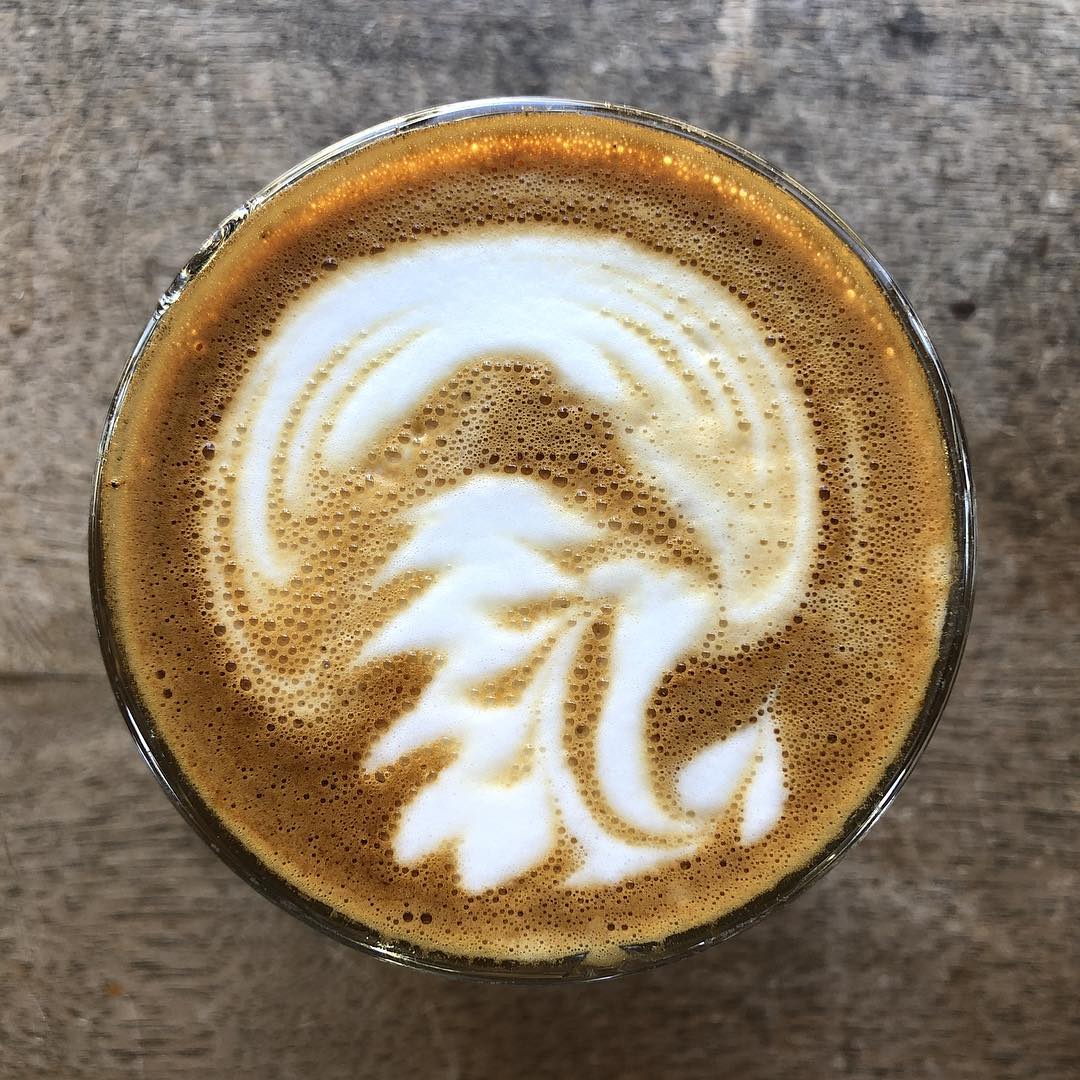 Sassy jellyfish, delicious :) @bicacoffeehouse