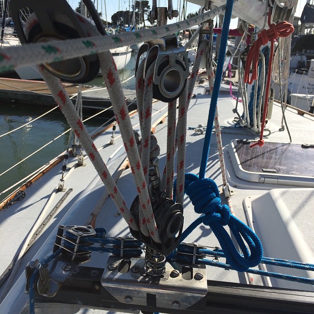 Sea Star for Friday night racing
