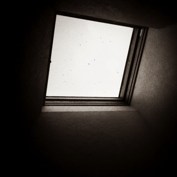 Skylight