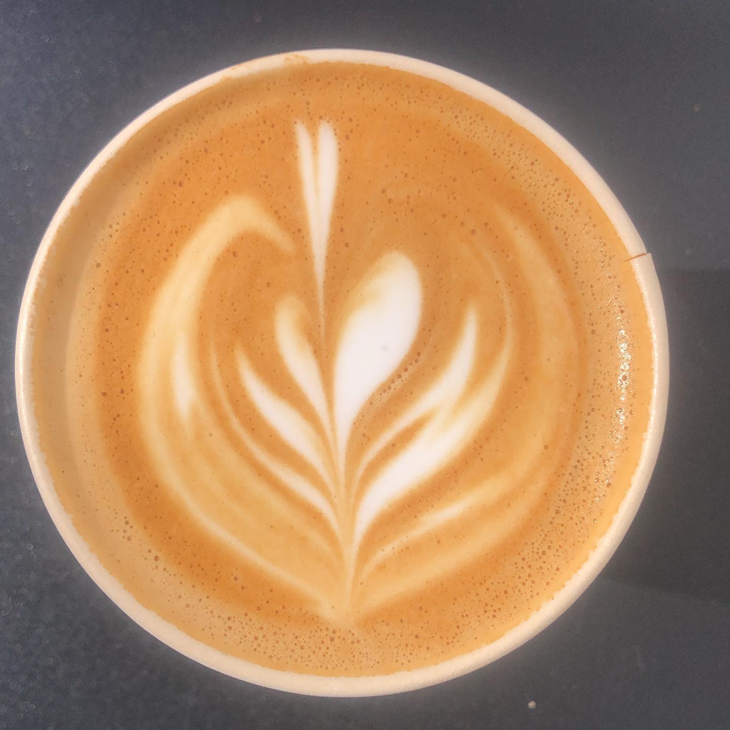 States Coffee double cappuccino working on Embraced:Fully with David
