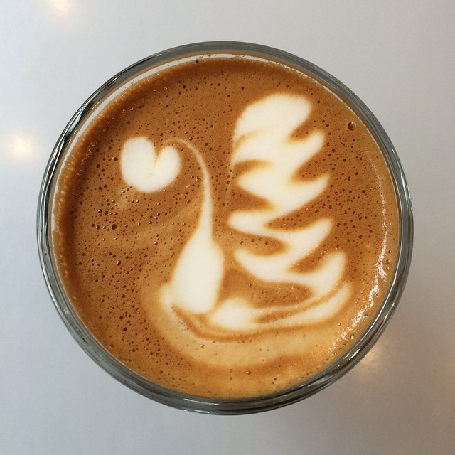 Swan in the Gibraltar this morning :) @moderncoffee