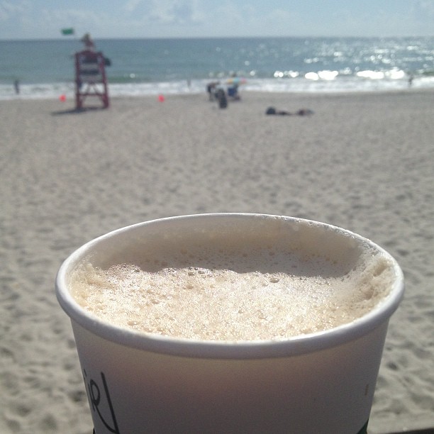 The office this morning :)