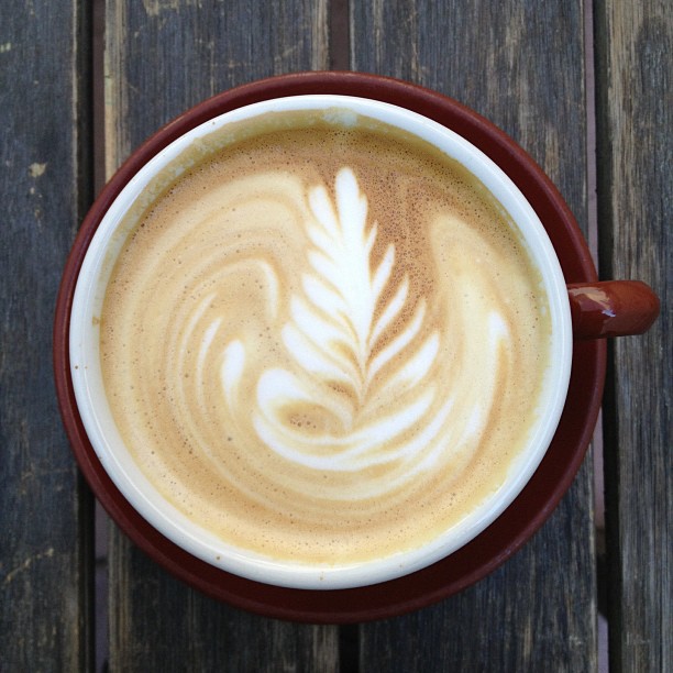 Thursday afternoon at the best coffee shop in Berkeley
