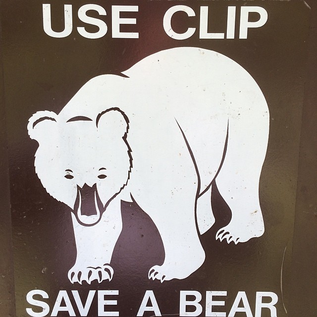 Use clip, save bear.