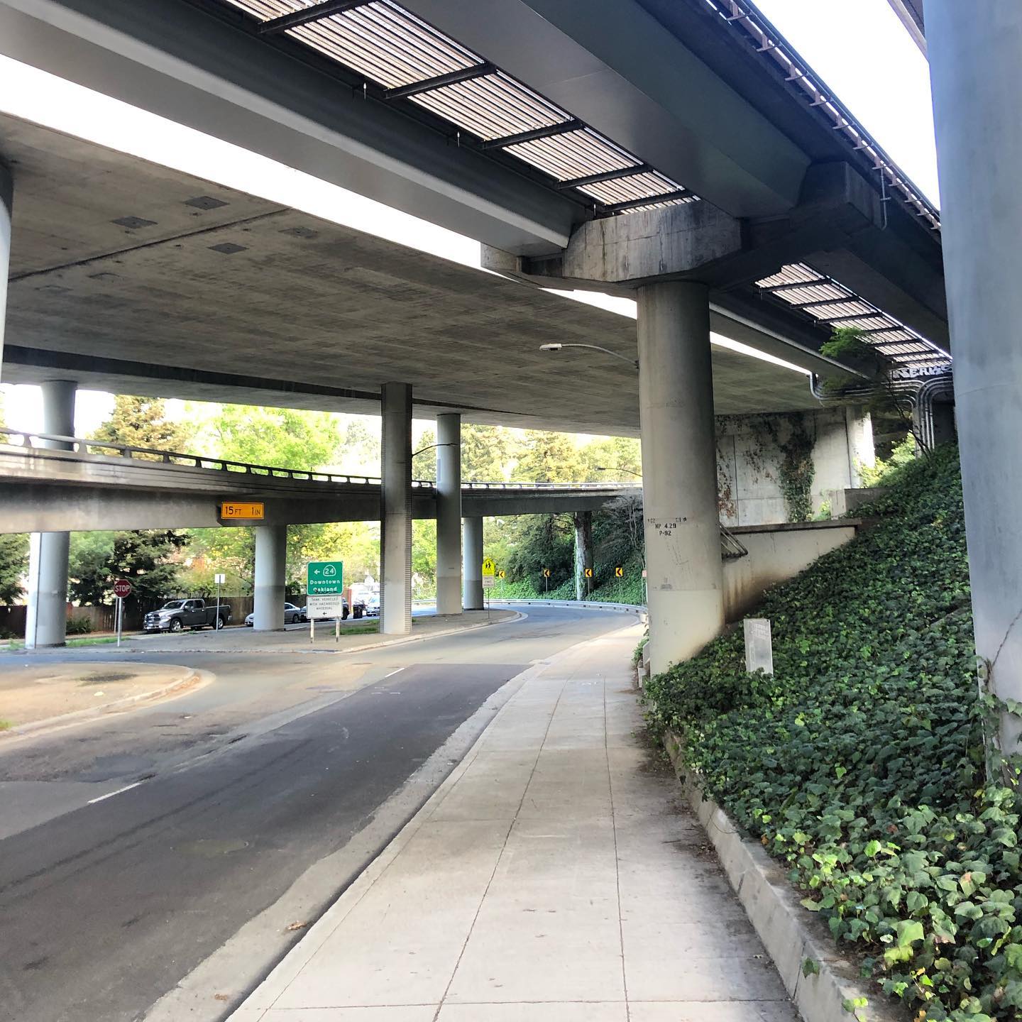 Walking the little lady earlier today